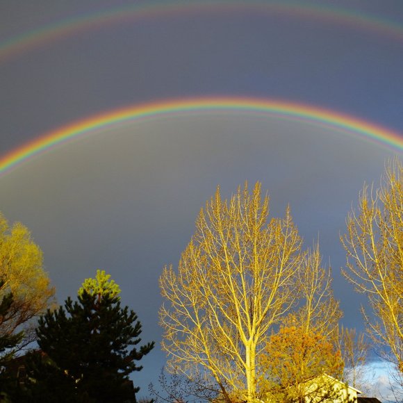 🌟Meet your Posh Ambassador, Diane - Picture 8 of 15